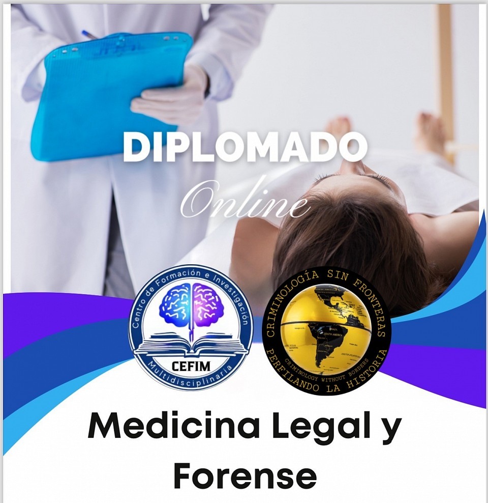 Diplomado internacional